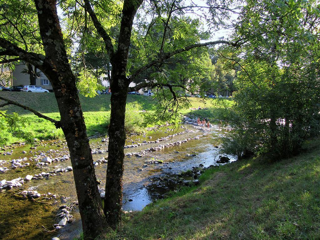 Die Sprachpension - The Language Guesthouse Vogtsburg Bagian luar foto